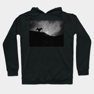 Mothman Hoodie